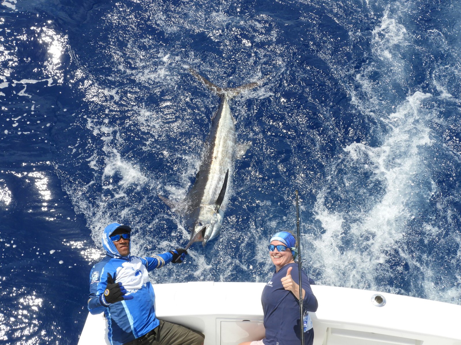 Marlin Azul