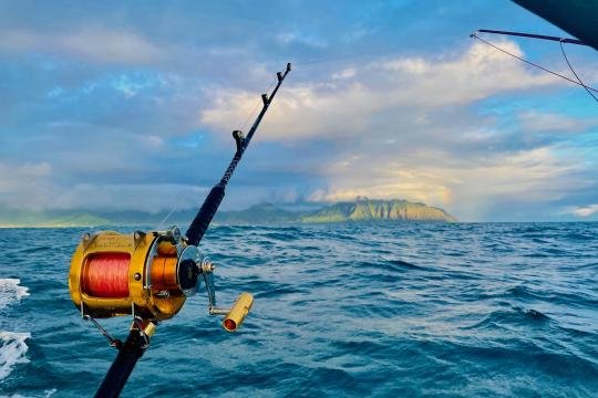 Pesca de Altura